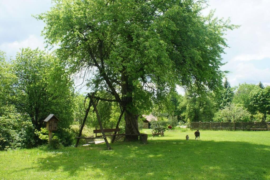 Agroturystyka Ropienka Екстериор снимка